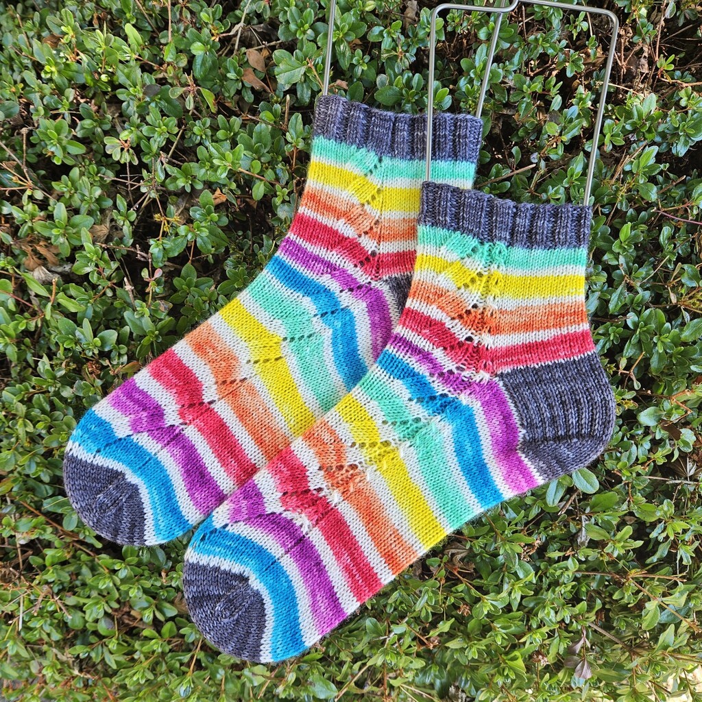 Image description: A pair of knit socks against a lush green shrub. They have medium grey cuffs, heels, and toes, and are knit in rainbow and white alternating stripes. There is a simple lace design down either side of each sock. End image description.
